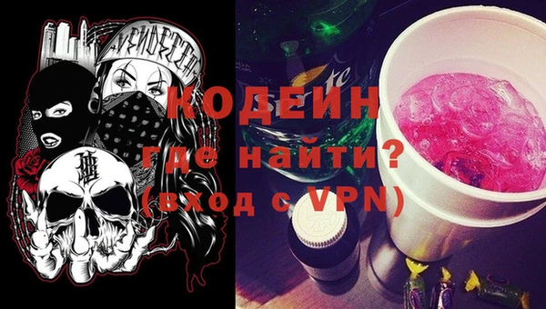 спайс Няндома