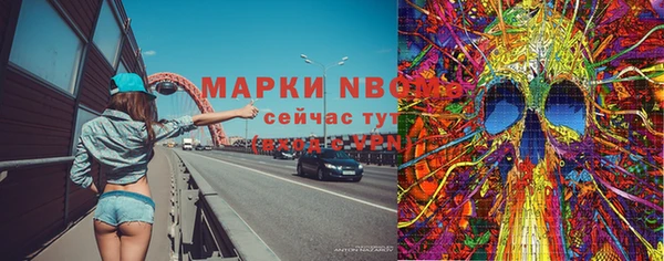 спайс Няндома